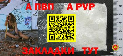 амф Можга