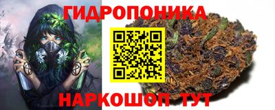 амф Можга