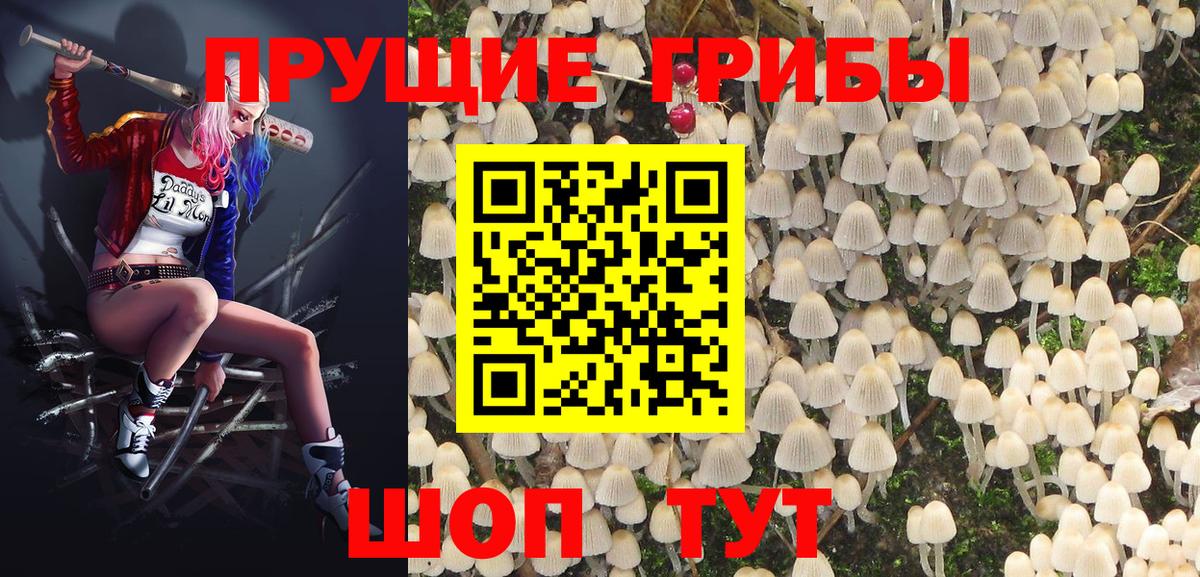Псилоцибиновые грибы MAGIC MUSHROOMS Топки
